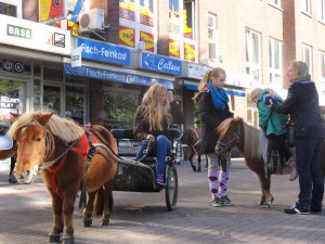 Die kleinen Besucher können auf einem Pony reiten.