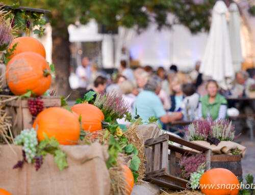 Bauernmarkt & Weinfest